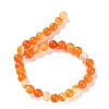 Natural Striped Agate/Banded Agate Beads Strands G-Z060-A01-A03-3