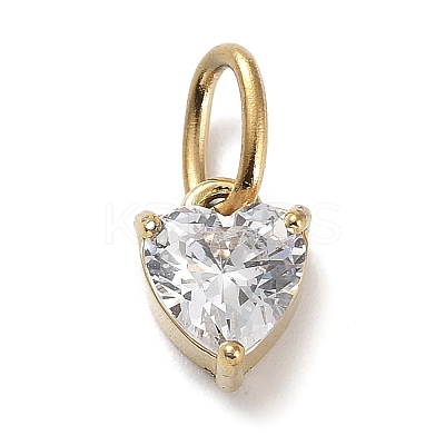 316 Stainless Steel Micro Pave Cubic Zirconia Charms ZIRC-P108-01G-D-1