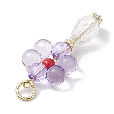 Acrylic Pendants PALLOY-JF02611-1