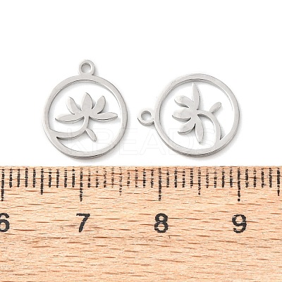 304 Stainless Steel Charms STAS-D202-05P-1