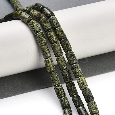 Natural Serpentine/Green Lace Stone Beads Strands G-H064-B01-01-1