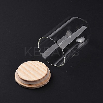 Glass Dome Cover DJEW-E009-01-1