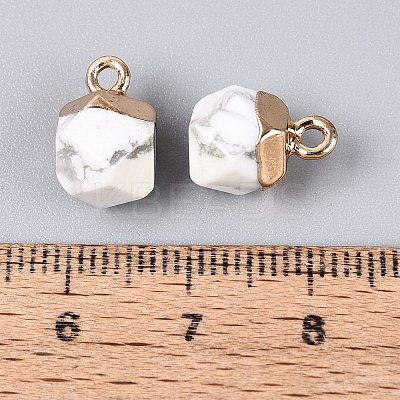 Natural Howlite Pendants G-N359-18G-14-1