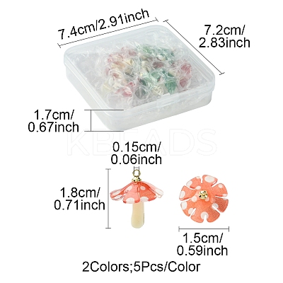 10Pcs 2 Colors Plastic Pendants KY-FS0001-34A-1