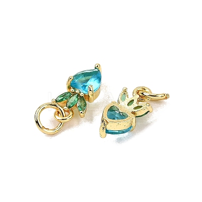 Brass Micro Pave Cubic Zirconia Charms ZIRC-H119-06G-03-1