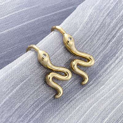 Snake Brass Micro Pave Cubic Zirconia Dangle Earrings EJEW-G425-04G-01-1
