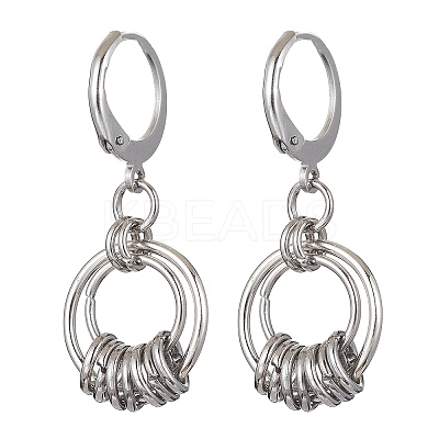 Non-Tarnish 304 Stainless Steel Leverback Earrings for Women EJEW-JE05530-1