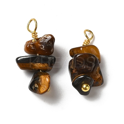 Natural Tiger Eye Pendants KK-P242-31G-05-1