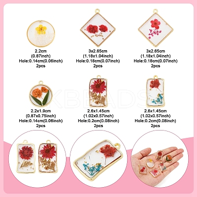 12Pcs 6 Styles Transparent Clear Epoxy Resin Pendants RESI-FS0001-88A-1