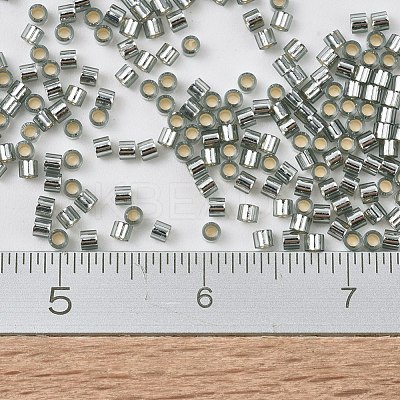 MIYUKI Delica Beads Small SEED-JP0008-DBS0048-1