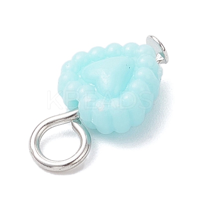 Opaque Acrylic Pendants PALLOY-JF04351-01-1
