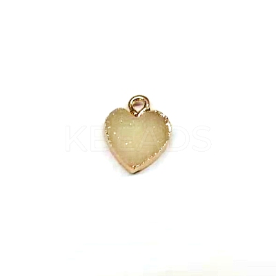 Resin with Golden Zinc Alloy Charms RESI-CJC0009-04A-1