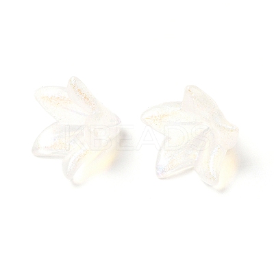 Transparent Acrylic Bead Caps OACR-A020-01-1