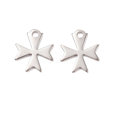 Non-Tarnish 304 Stainless Steel Charms STAS-C043-49P-01-1