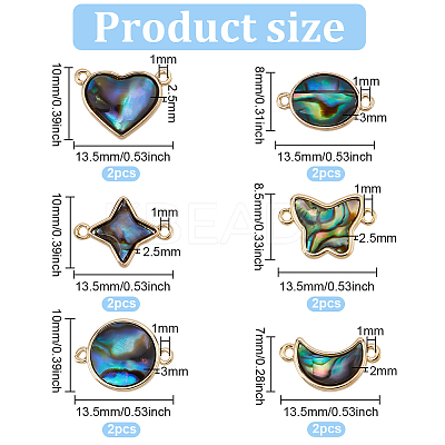 12Pcs 6 Styles Paua Shell Connector Charms FIND-FH0007-96G-1