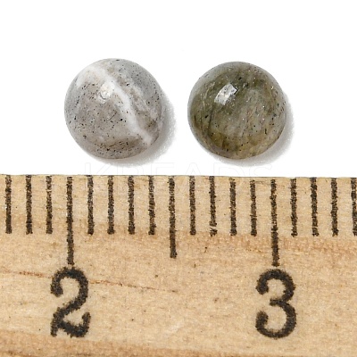 Natural Labradorite Cabochons G-Q173-01B-15-1