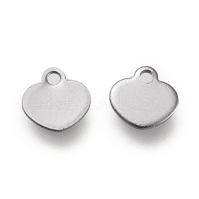 Non-Tarnish 304 Stainless Steel Charms LS-STAS-K195-14P-1