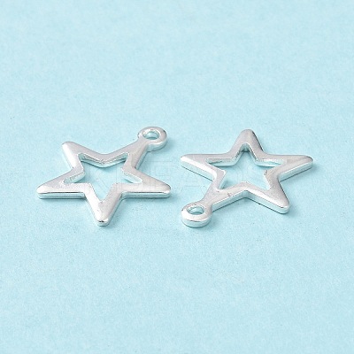 304 Stainless Steel Charms STAS-L234-095S-1