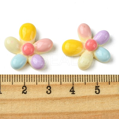 Opaque Resin Decoden Cabochons LS-RESI-K038-02-1