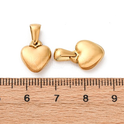 304 Stainless Steel Charms STAS-A117-02B-G-1