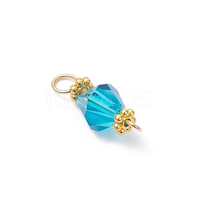 Imitation Austrian Crystal Connector Charms PALLOY-JF04493-1