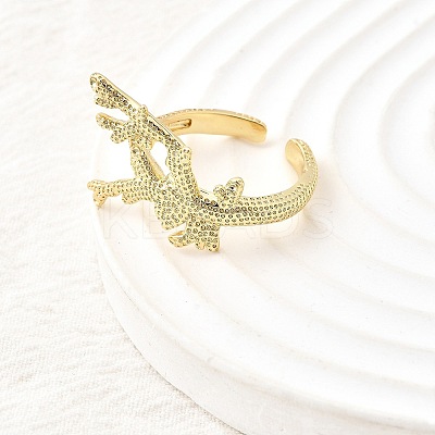 Brass Cuff Rings for Women RJEW-F184-08H-G-1