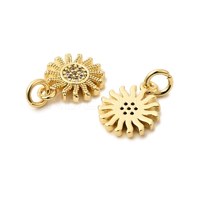 Brass Cubic Zirconia Charms ZIRC-C022-21G-1