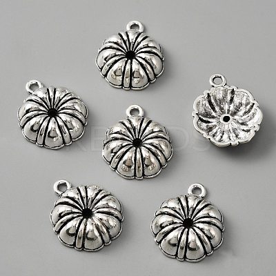 Tibetan Style Alloy Pendants FIND-CJC0004-16AS-1
