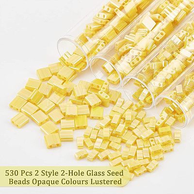 530Pcs 2 Style 2-Hole Glass Seed Beads SEED-NB0001-74-1