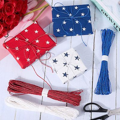 3 Bundles 3 Colors  Twisted Paper Cord DIY-CP0012-06E-1