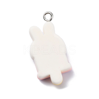 Cartoon Opaque Resin Imitation Food Pendants LS-RESI-C043-03A-P-1