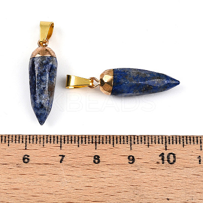 Natural Lapis Lazuli Pendants G-N345-01G-1