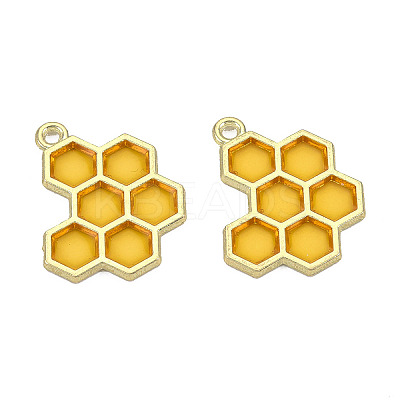 Epoxy Resin Pendants LS-X-RESI-Q213-001-NR-1