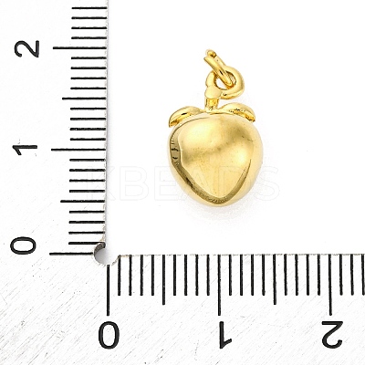 304 Stainless Steel Charms X-STAS-U049-01A-04G-1