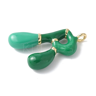 Brass Enamel Pendants KK-E093-03G-R-01-1