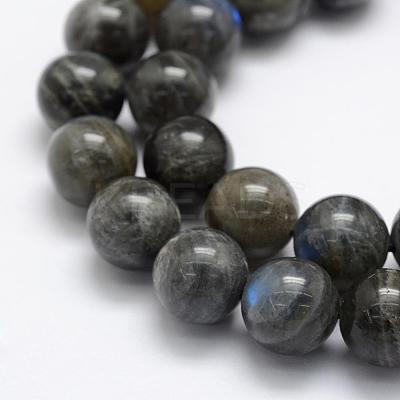 Natural Labradorite Beads Strands G-P322-31-12mm-1