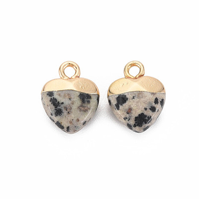 Natural Dalmatian Jasper Charms G-N326-121-01-1