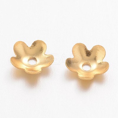 Ion Plating(IP) 304 Stainless Steel Bead Caps X-STAS-K113-01G-1