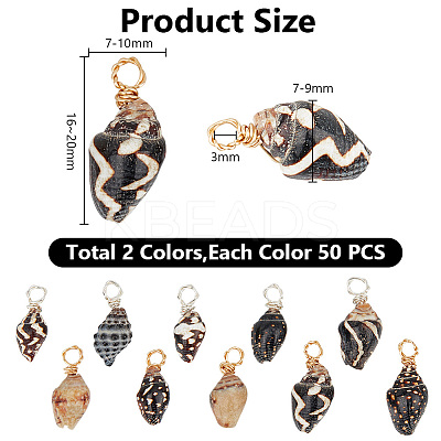 100Pcs 2 Colors Copper Wire Wrapped Natural Spiral Shell Pendants PALLOY-AB00234-1