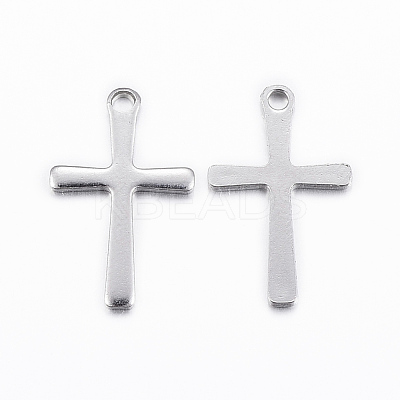 Tarnish Resistant 304 Stainless Steel Charms STAS-H423-10P-1