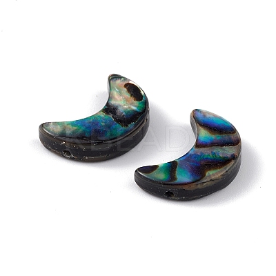 Natural Abalone Shell/Paua Shell Beads SSHEL-M021-08-1