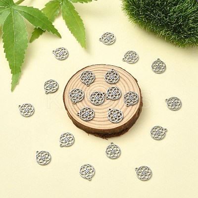 304 Stainless Steel Charms STAS-CJC0008-21P-1