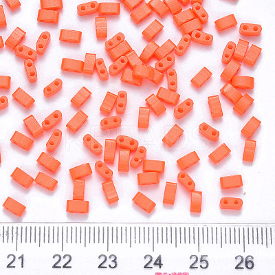 FGB 2-Hole Baking Paint Glass Seed Beads X-SEED-S031-M-406-1