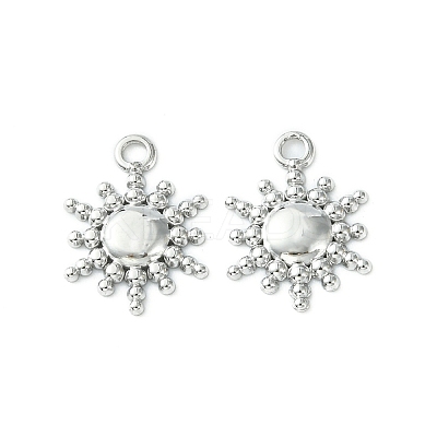 Non-Tarnish 304 Stainless Steel Charms STAS-L269-039P-1