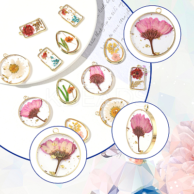 12Pcs 6 Styles Transparent Clear Epoxy Resin Pendants RESI-SC0036-60B-1