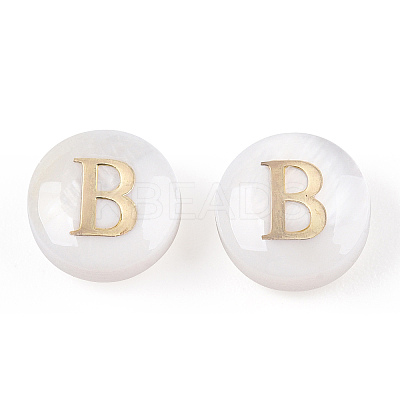 Natural Freshwater Shell Beads SHEL-N036-01B-1