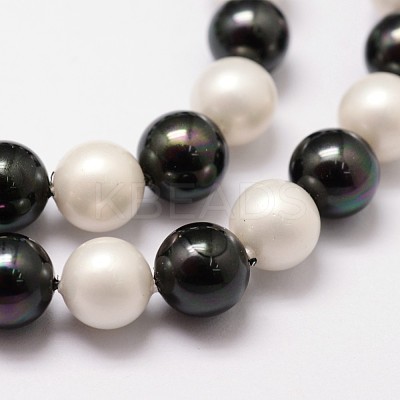 Polished Shell Pearl Bead Strands BSHE-F013-07C-1