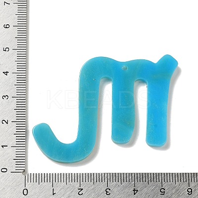 Acrylic Keychain Pendants SACR-S608-04J-01-1