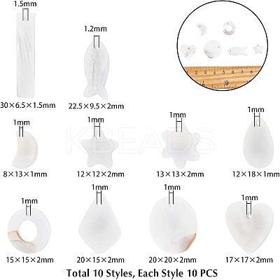 Natural Freshwater Shell Charms/Pendants SHEL-NB0001-03-1