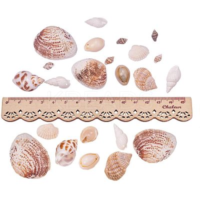 Natural Mixed Style Cowrie Cowry Seashells Oval Spiral Shells with Holes for Jewelry Making BSHE-PH0003-04-1